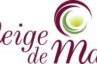 Logo Neige de Man - Transformationstherapie Marburg